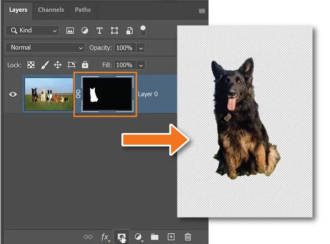 تحميل فوتوشوب مجانا adobe photoshop 2022 مباشر من التليجرام