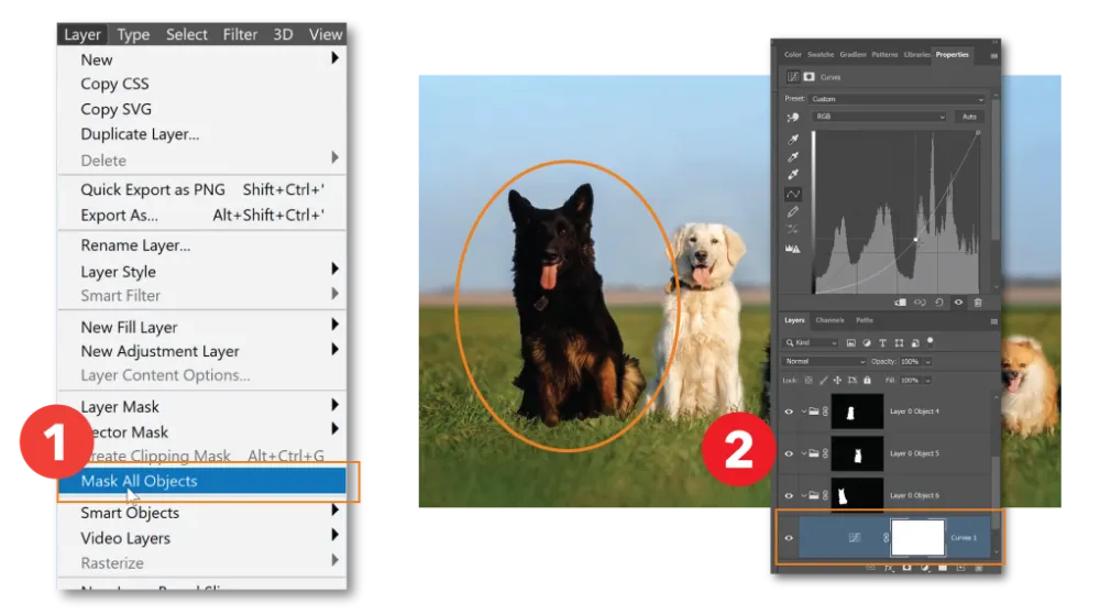 تحميل فوتوشوب مجانا adobe photoshop 2022 مباشر من التليجرام