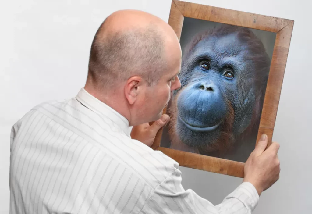 هل أصل الإنسان قرد؟