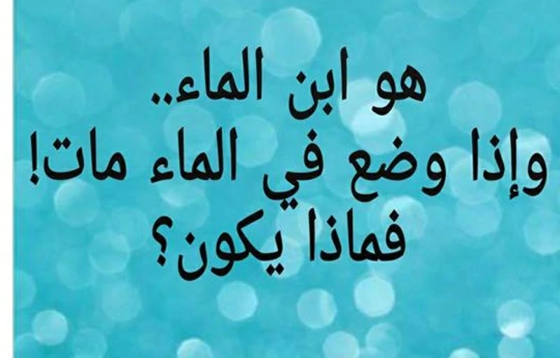 من هو ابن الماء و لكنه يموت إذا وضعناه في الماء ؟