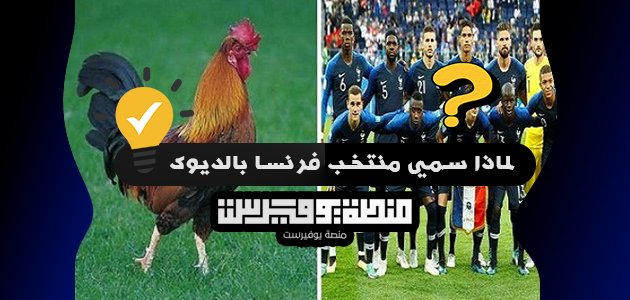 لماذا سمي منتخب فرنسا بالديوك