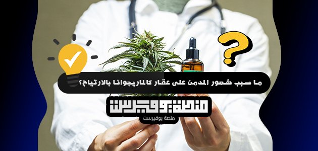 ما سبب شعور المدمن على عقار كالماريجوانا بالارتياح؟