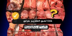 لماذا لحم الخنزير حرام
