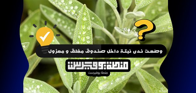 وضعت ندى نبتة داخل صندوق مغلق و معزول و بعد فترة من الزمن وجدت هذه النبتة قد ماتت ولكي تحل هذه المشكلة بطريقة علمية عن سبب موت النبته فما يجب عليها القيام به كخطوة قادمة؟