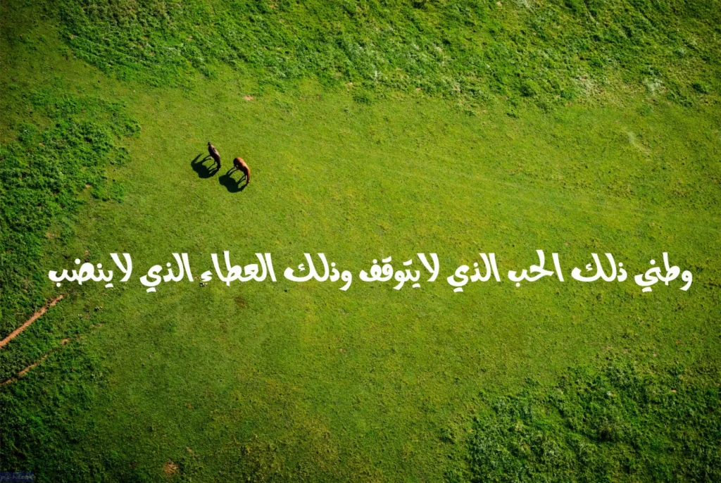 موضوع تعبير عن حب الوطن