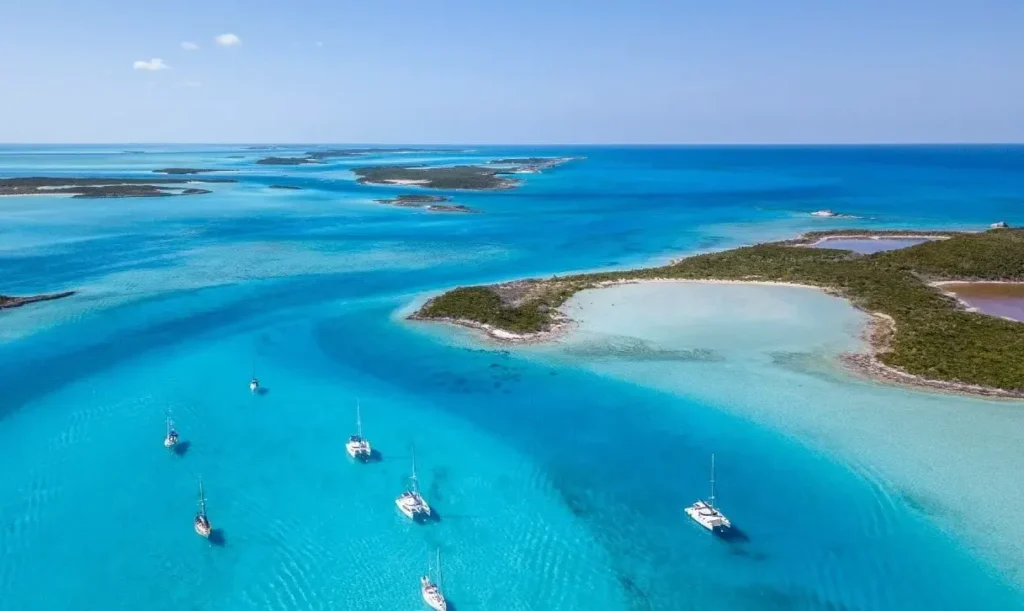 البحر الكاريبي يعد احد افرع