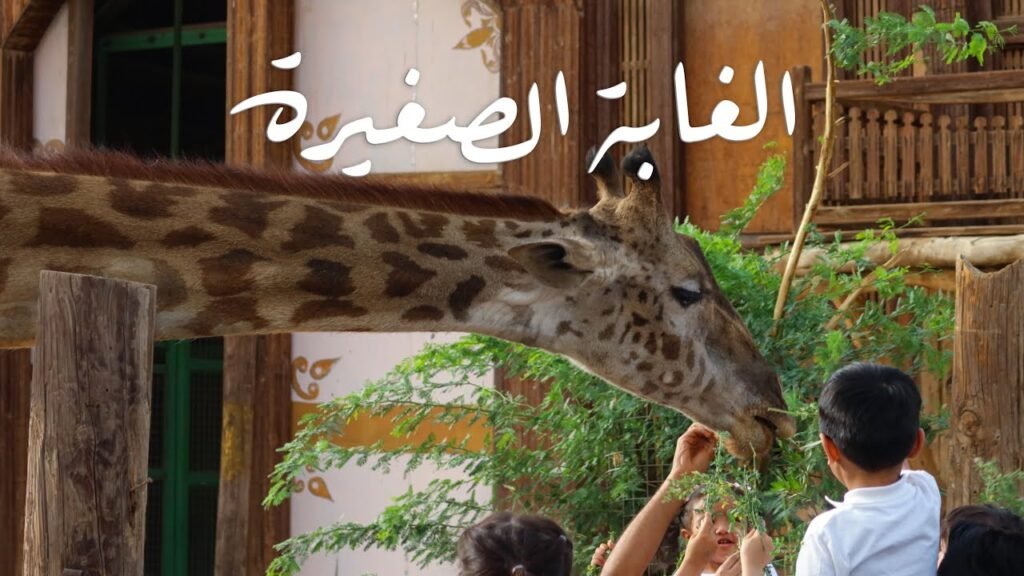 افضل اماكن خروج في الكويت ينصح بزيارتها