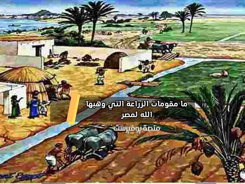 ما مقومات الزراعة التي وهبها الله لمصر