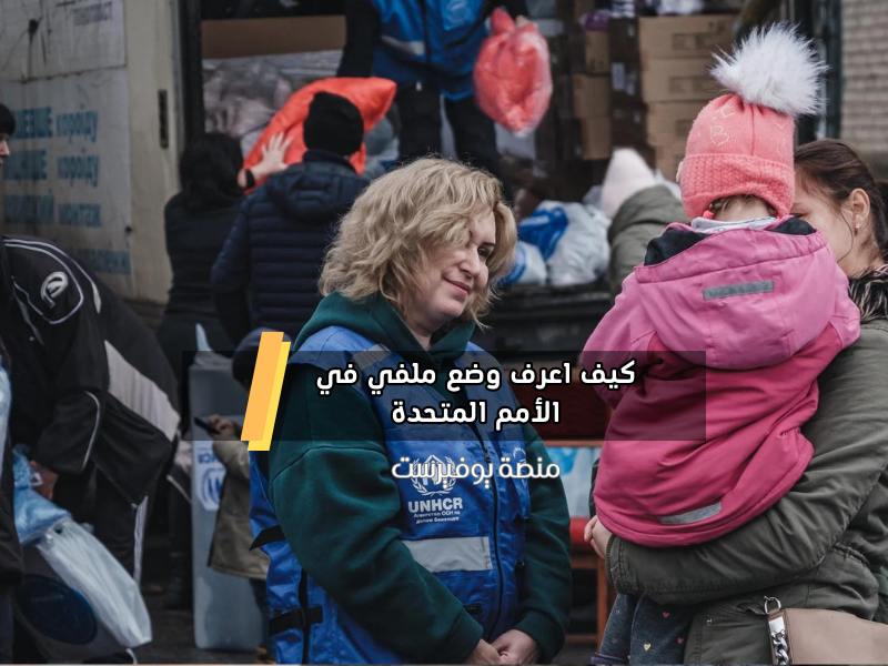 كيف اعرف وضع ملفي في الأمم المتحدة